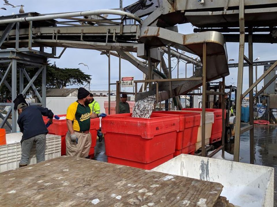 La asociación de los pescadores