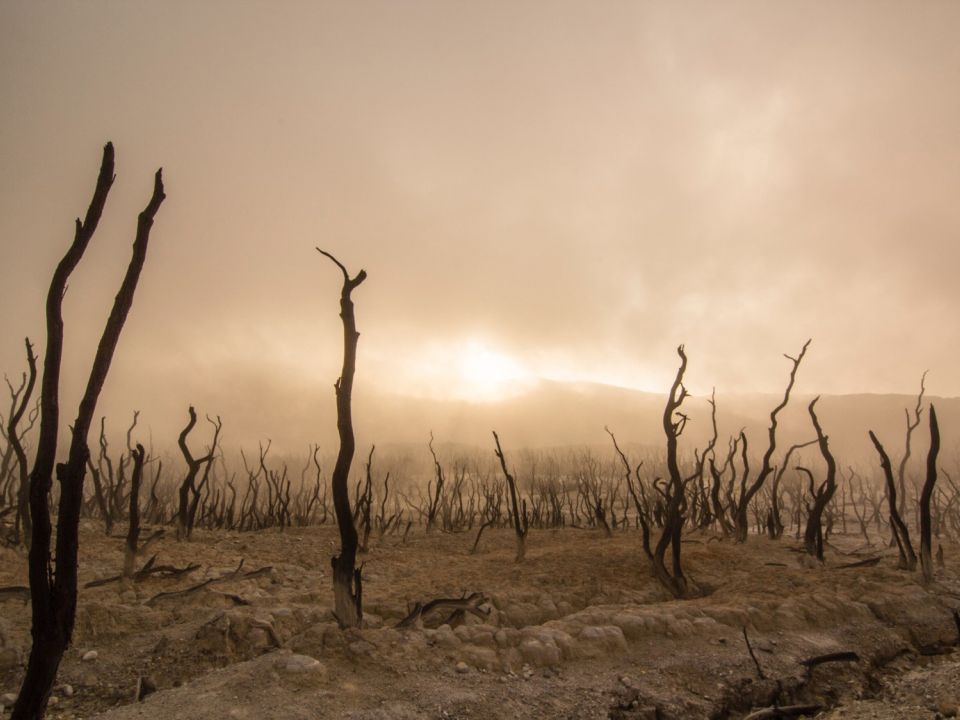 Cambio climático investigación