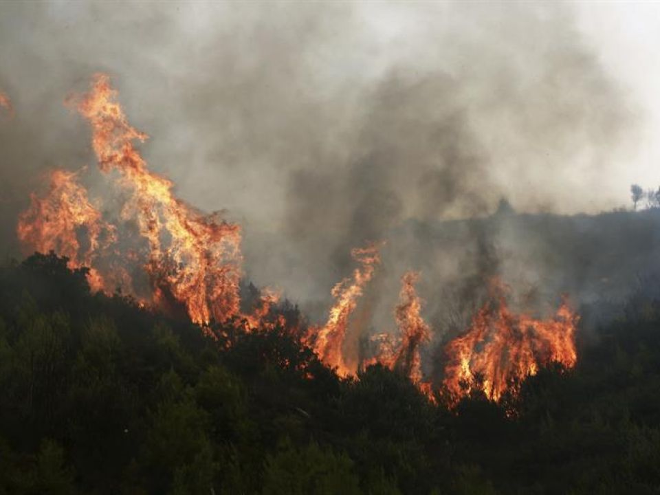 Incendio forestal