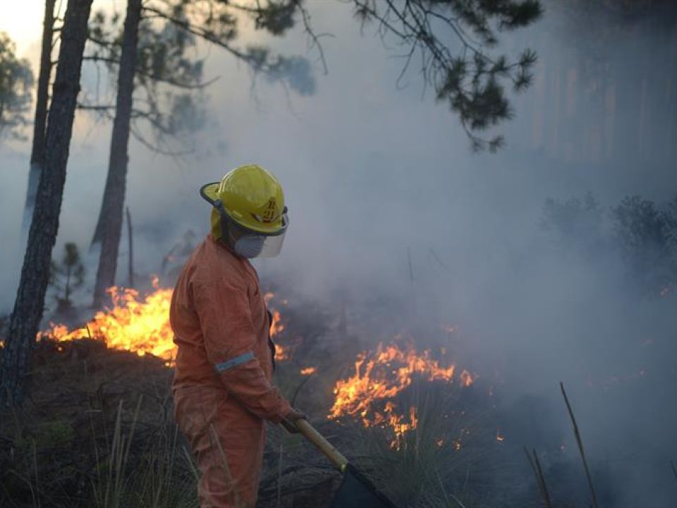 Incendio Veracruz