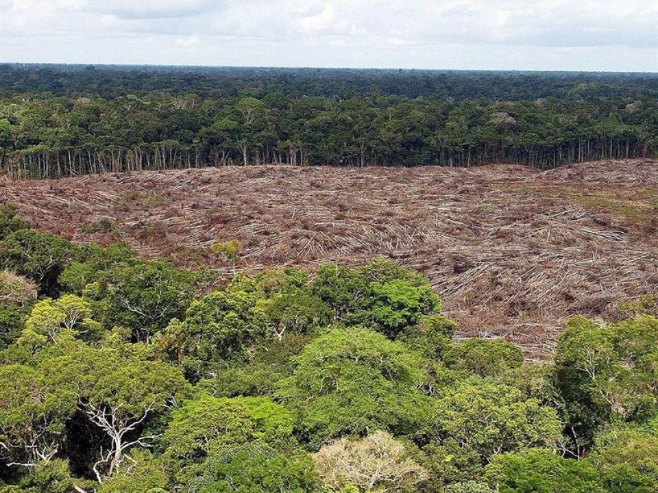 Deforestación en Brasil