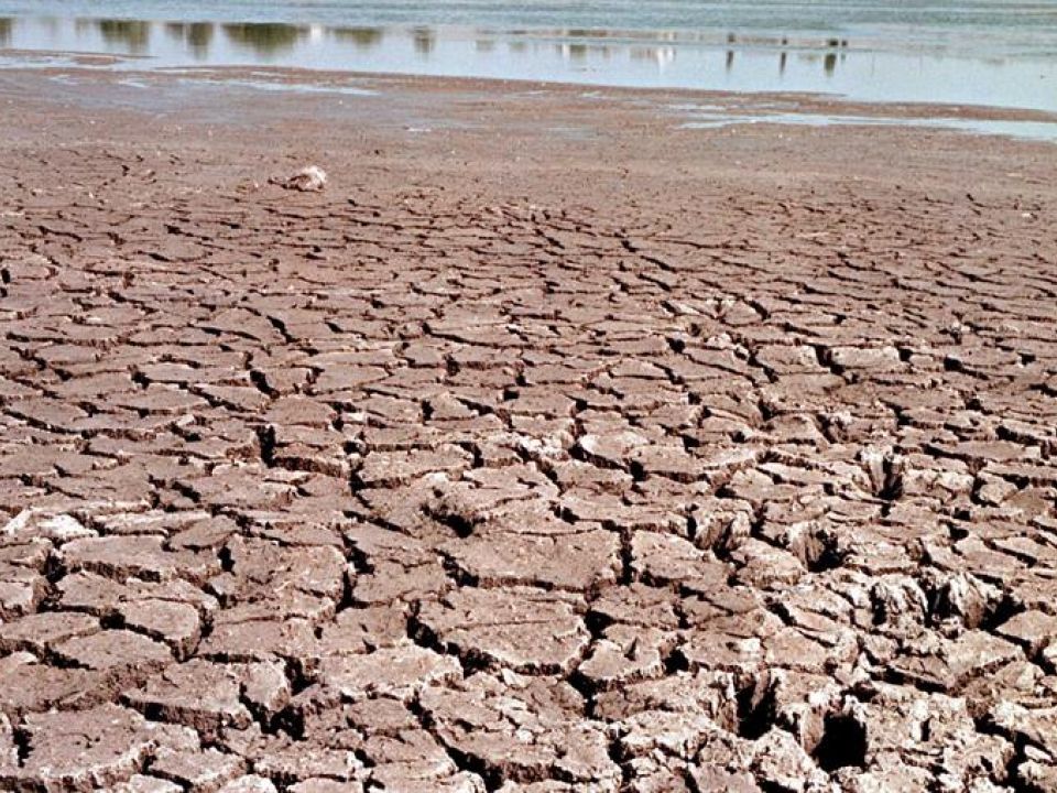 Desertificación