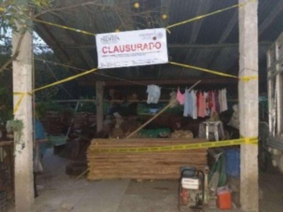 Clausura materias primas Profepa en Veracruz