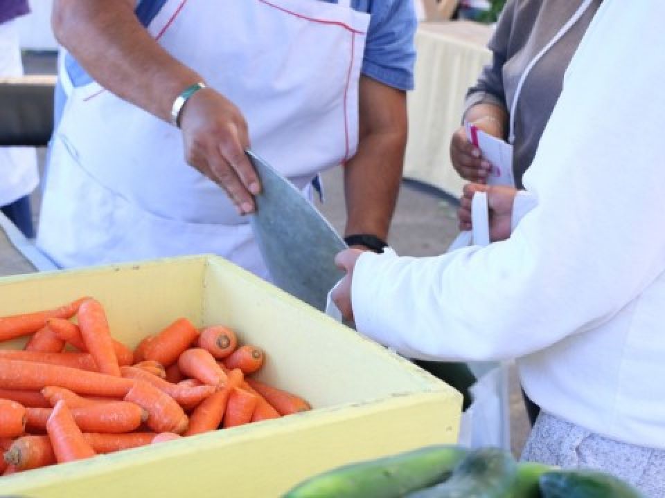 Sedema mercado del trueque