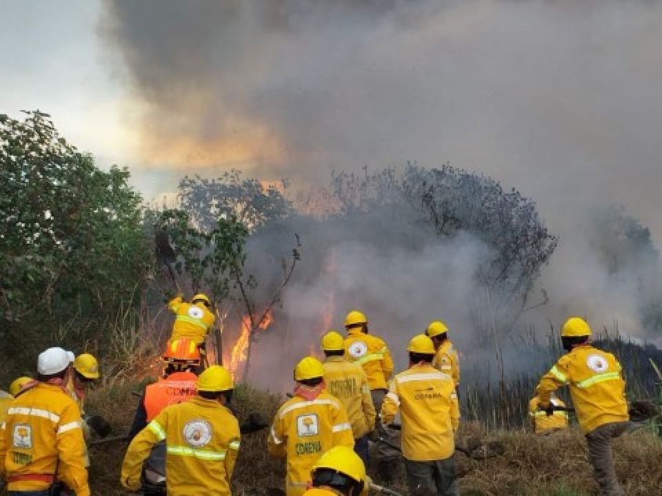 Sedema incendios