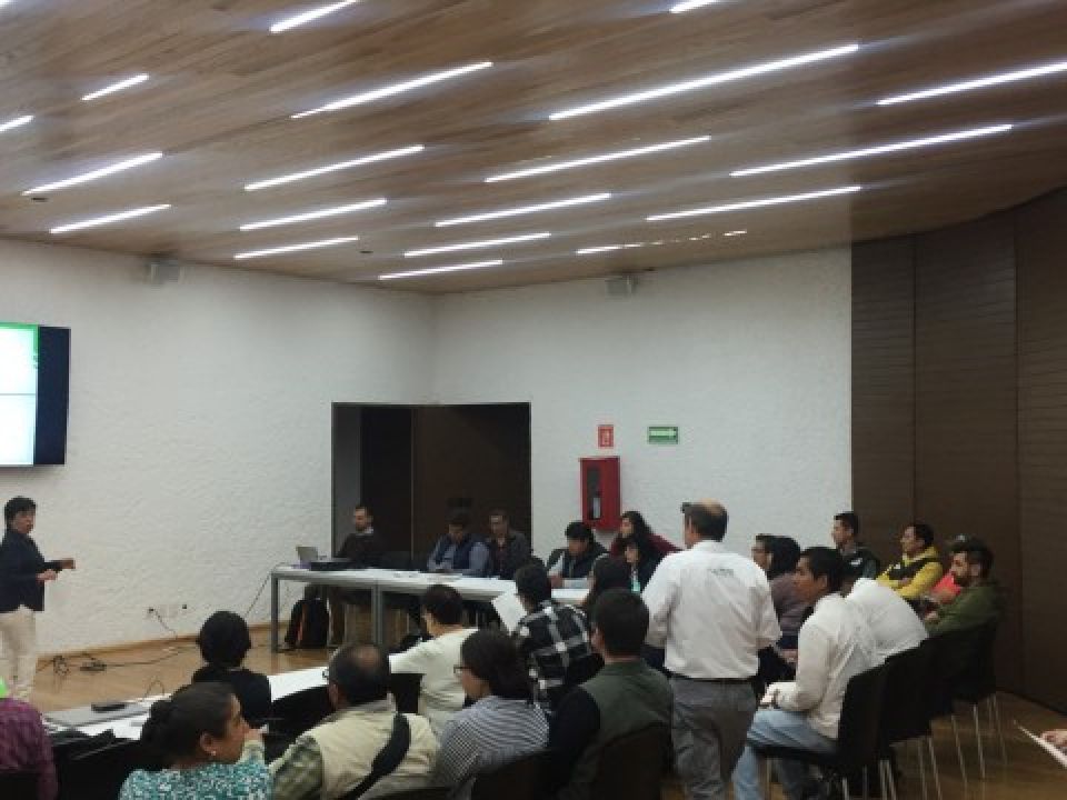 Sedema capactación muerdágo