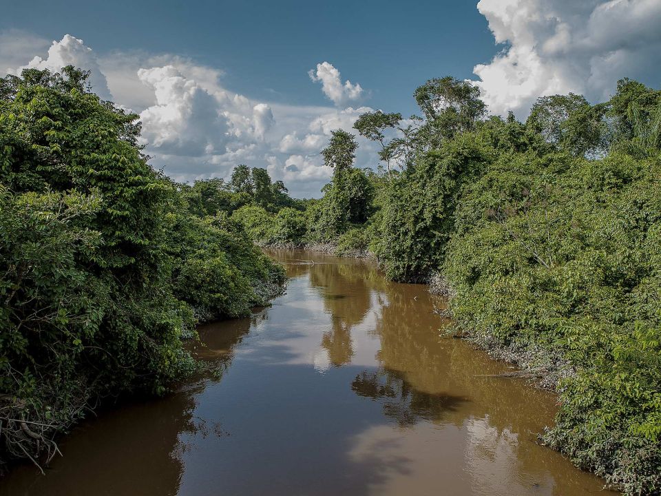 Amazonia brasileña