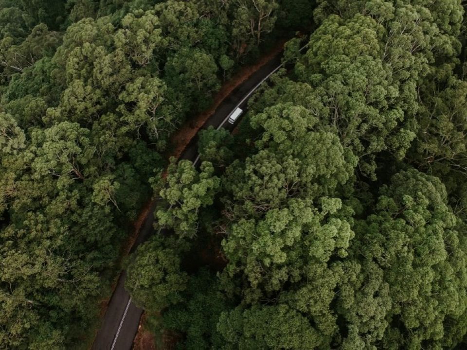 Camión en carretera