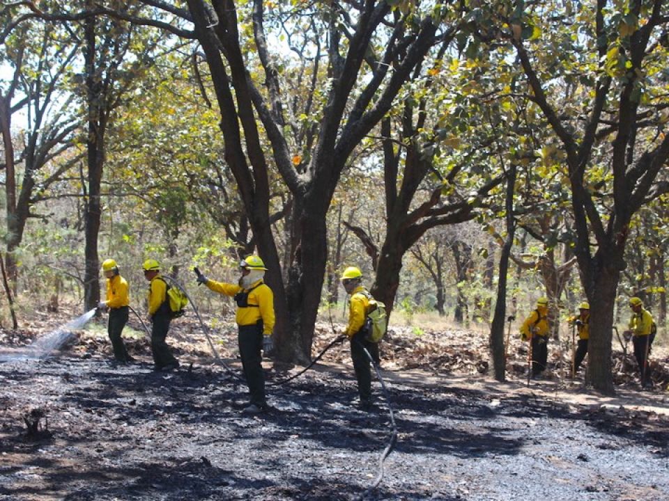 Conafor incendios