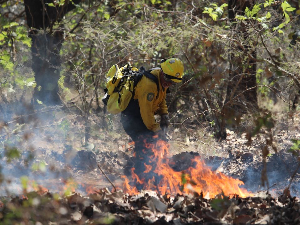 Conafor Incendios 