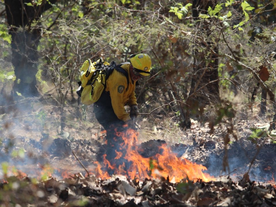 Incendio forestal