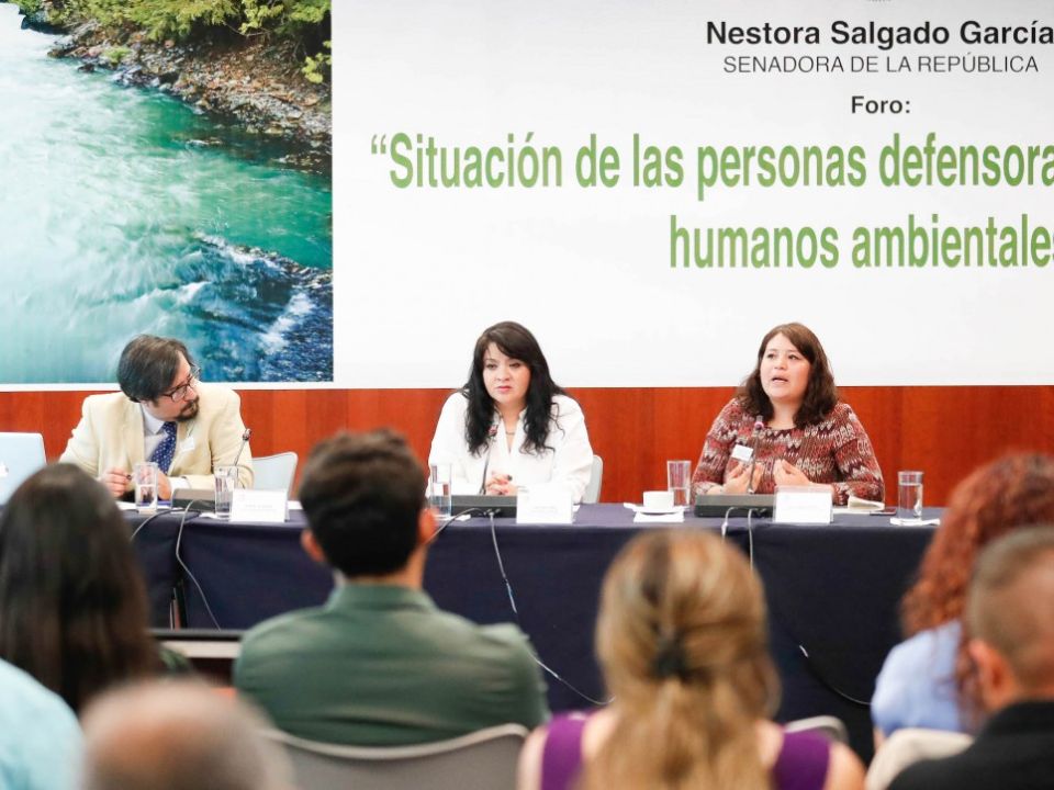 Defensores ambientales