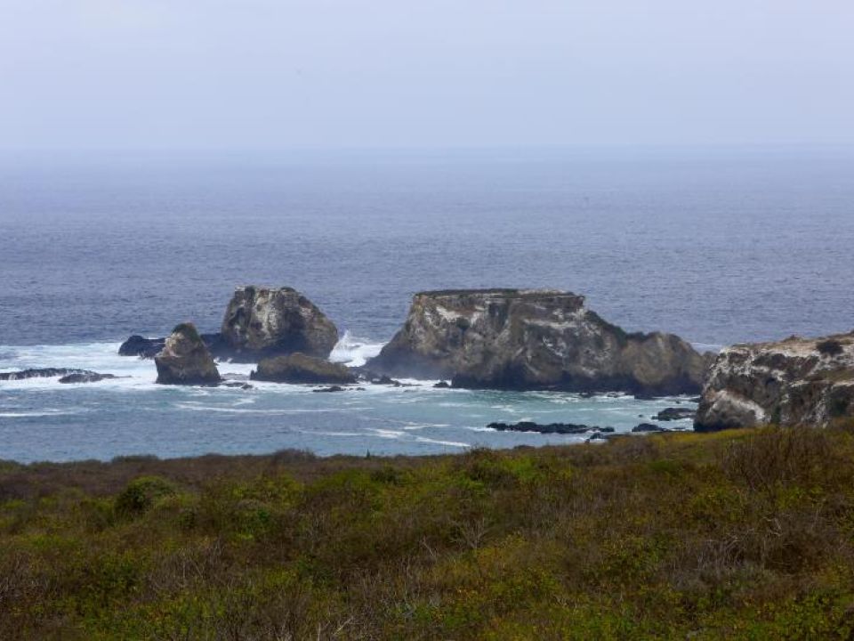 Galápagos