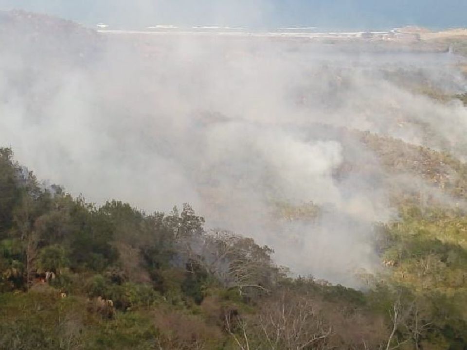 Incendio forestal