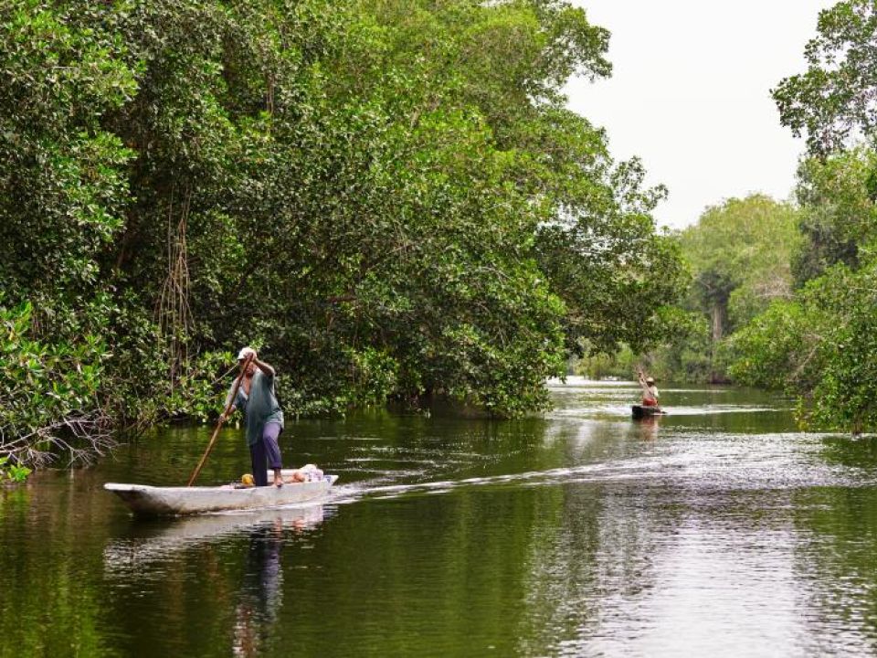 Río cerca de la Bahía de Cispatá (Colombia).