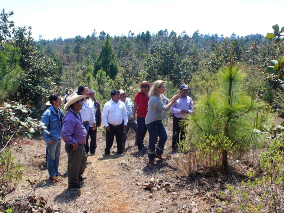 Semarnat impulsan proyectos de restauración en Chiapas