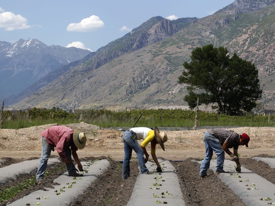 Agricultores