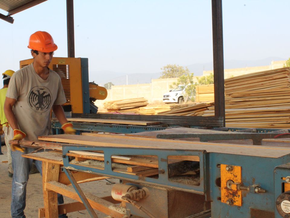 Producción de madera