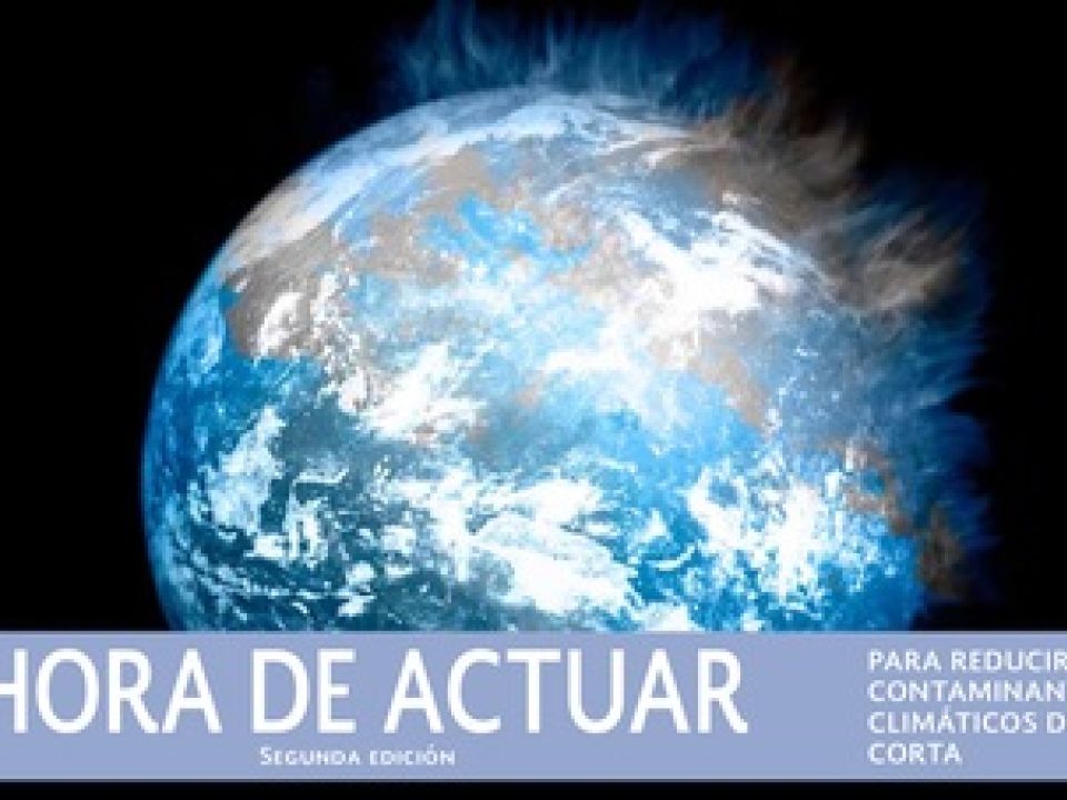 Contaminantes climáticos de vida corta