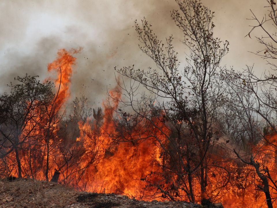 Incendio forestal