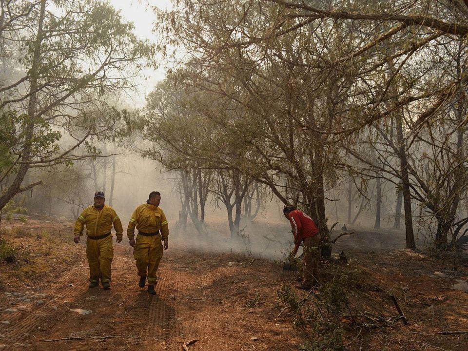 Incendio forestal