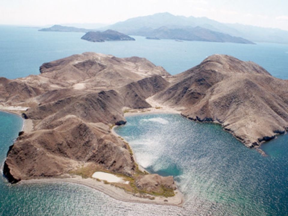 Isla de Baja Califorania