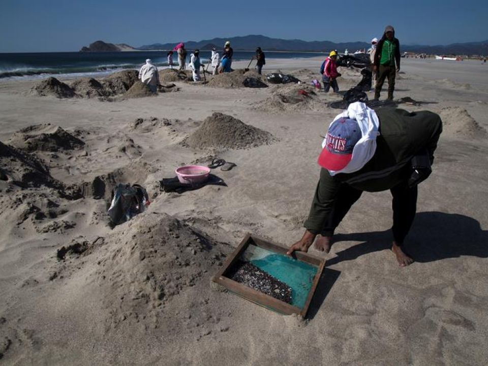 Limpieza de playa