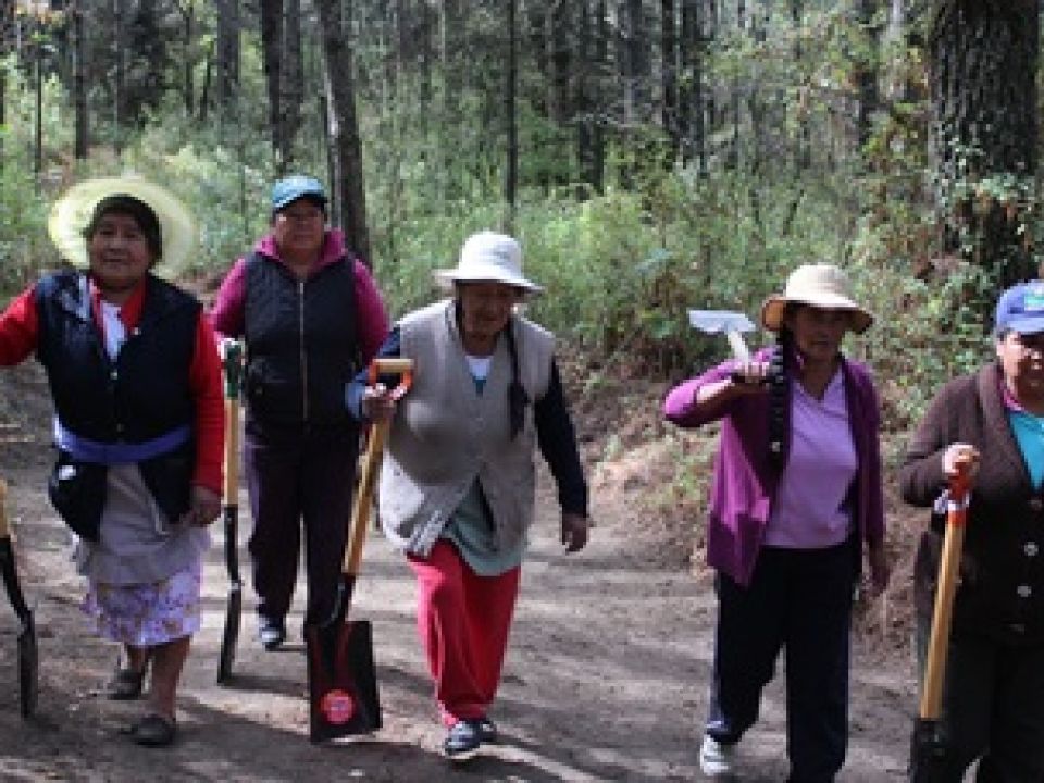 Mujeres en el bosque