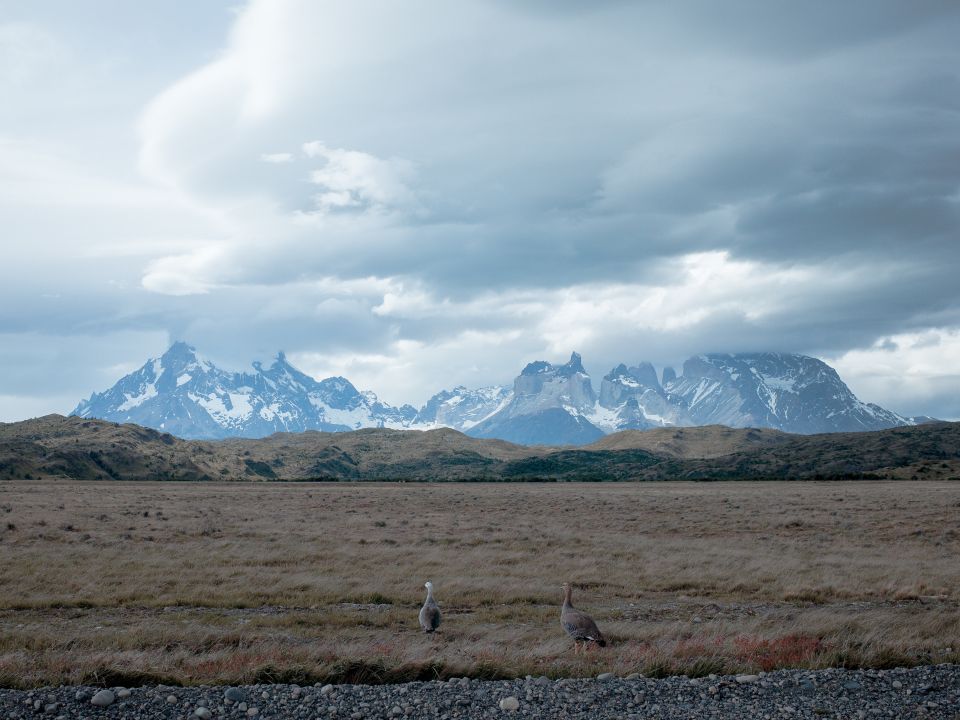 Patagonia