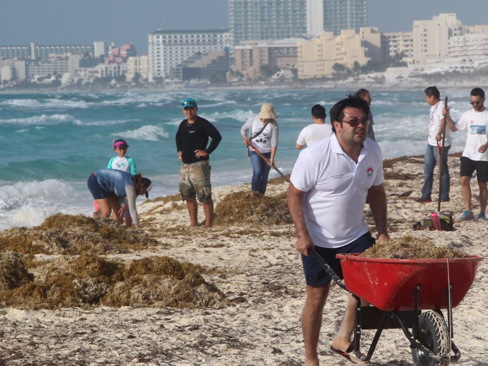 Personas limpian de sargazo la playa