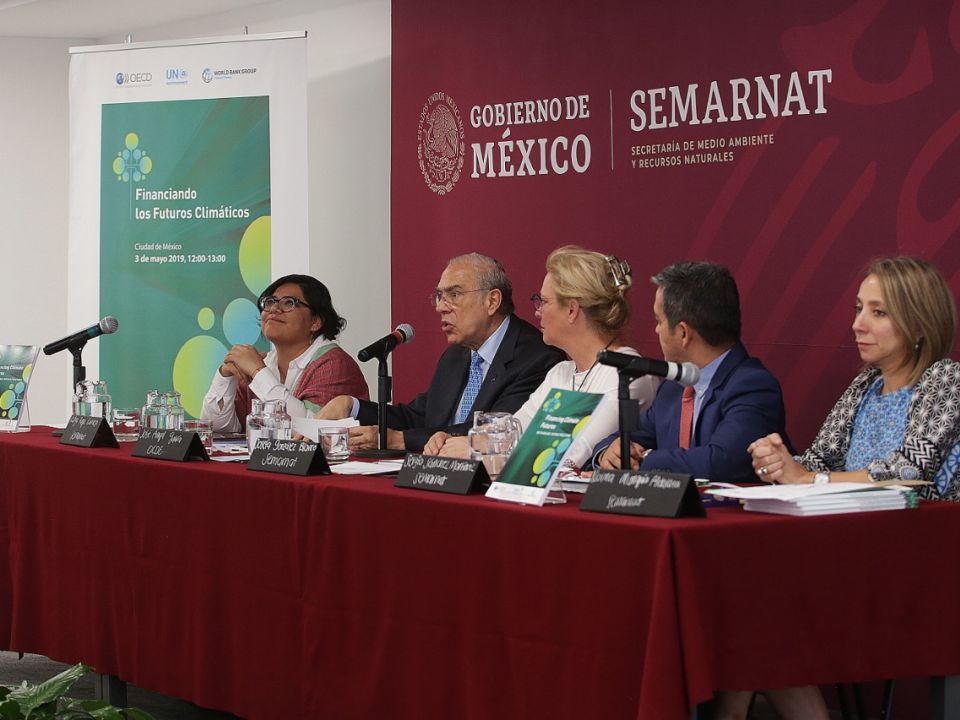 Reunión Semarnat