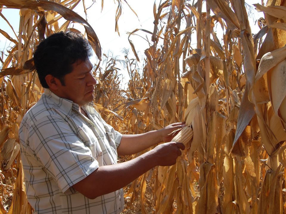 Agricultor