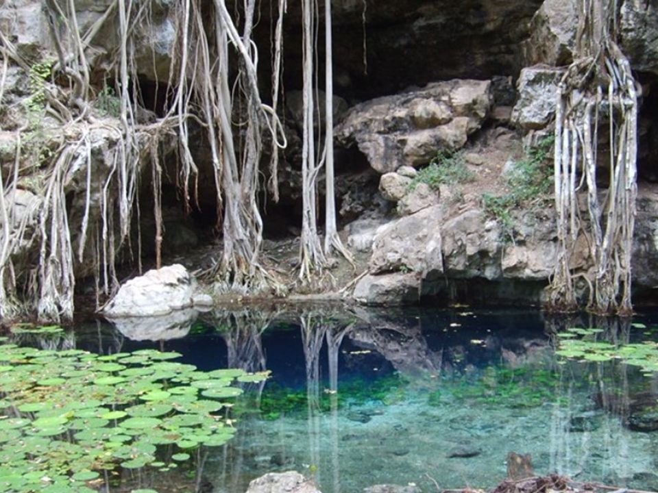 Cenote XBatún, Umán, Yucatán