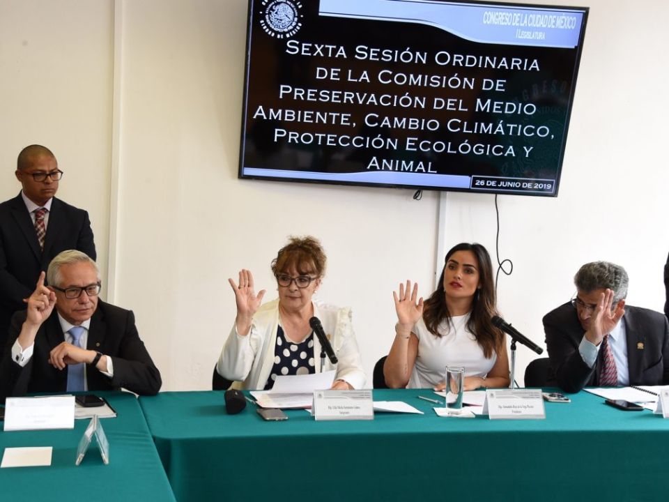 Buscan actualizar Ley de Protección de los Servicios Ambientales 