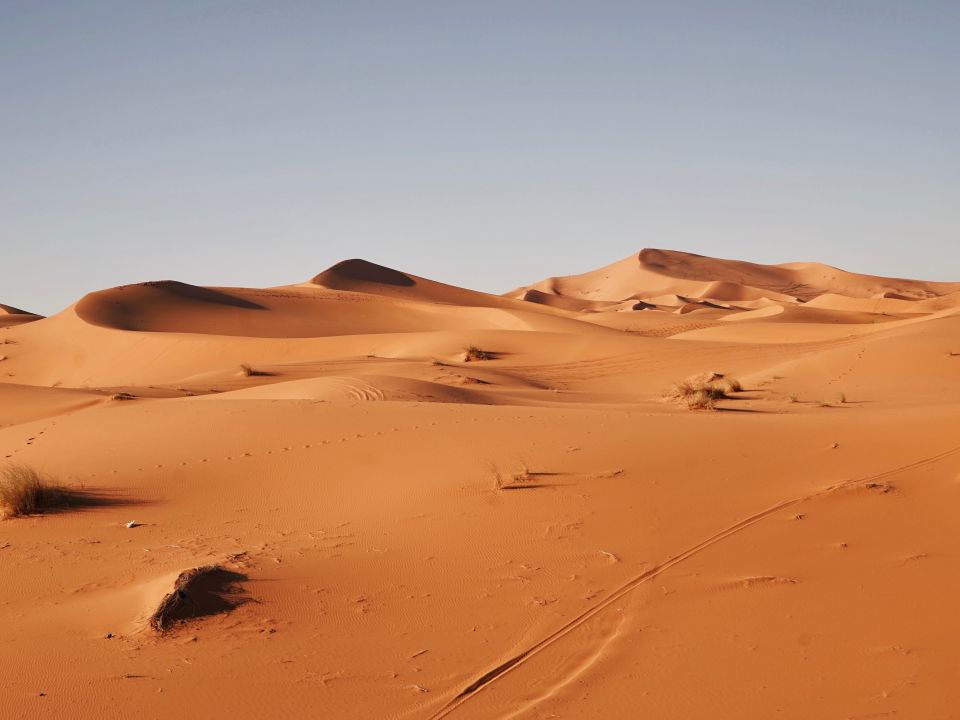 Desierto del Sahara 