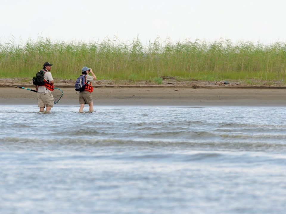 Zona mueta. Golfo de México