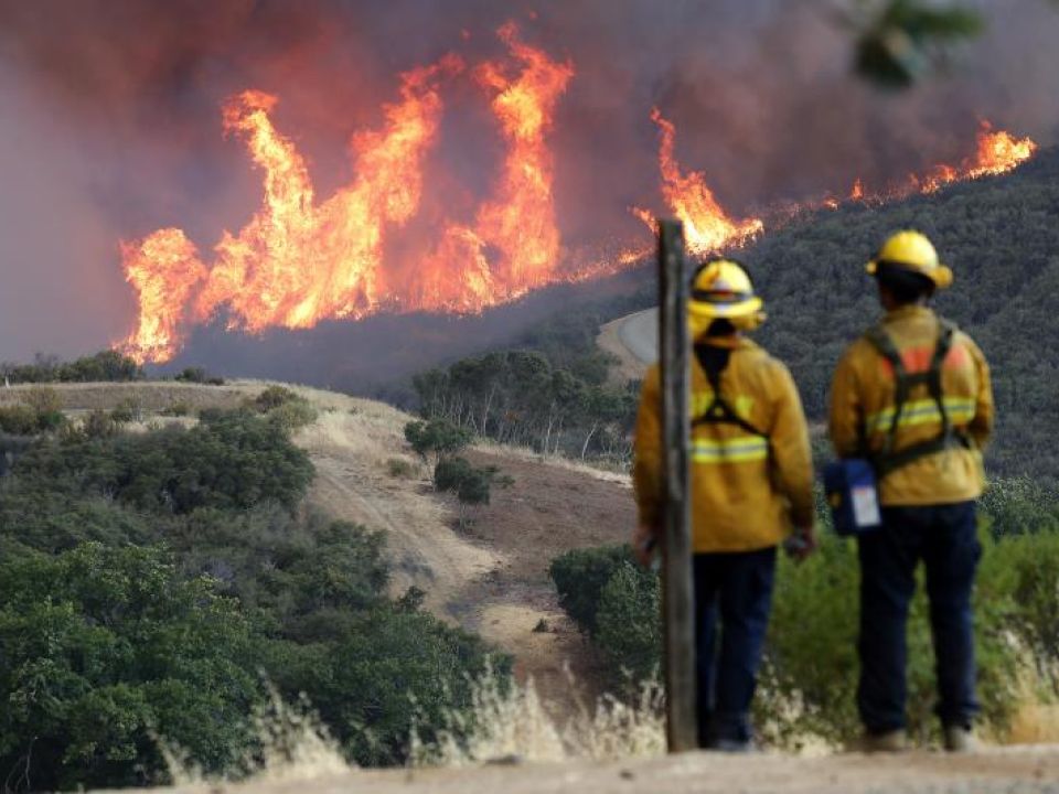 Incendio forestal