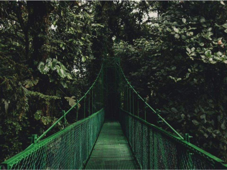 Monte Verde, Costa Rica