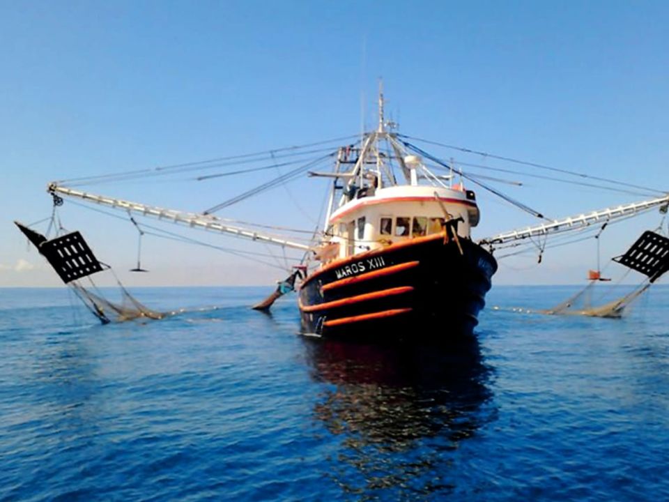 Barco pesquero