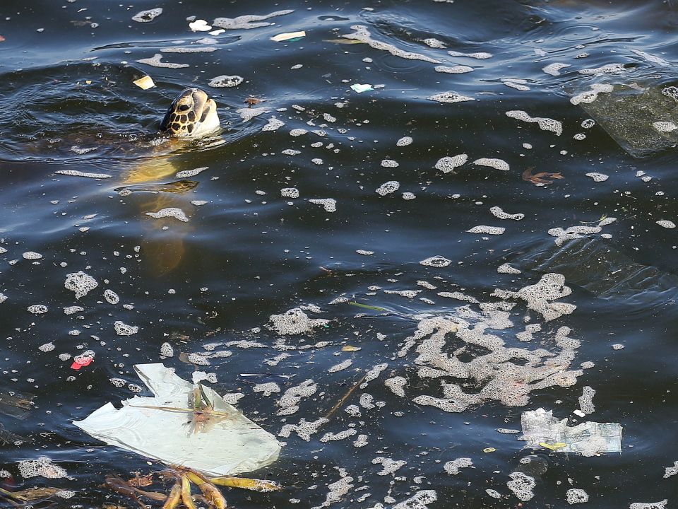 Plástico en el mar