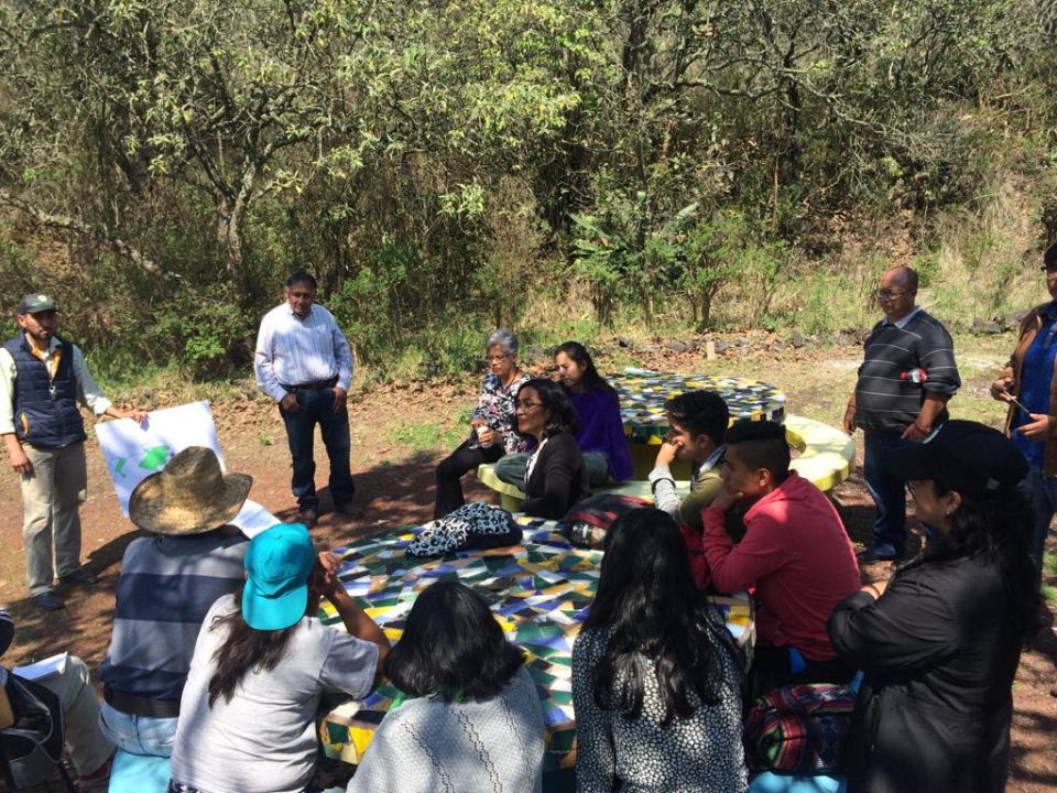 Fomentan empleo para realizar actividades de conservación ecológica