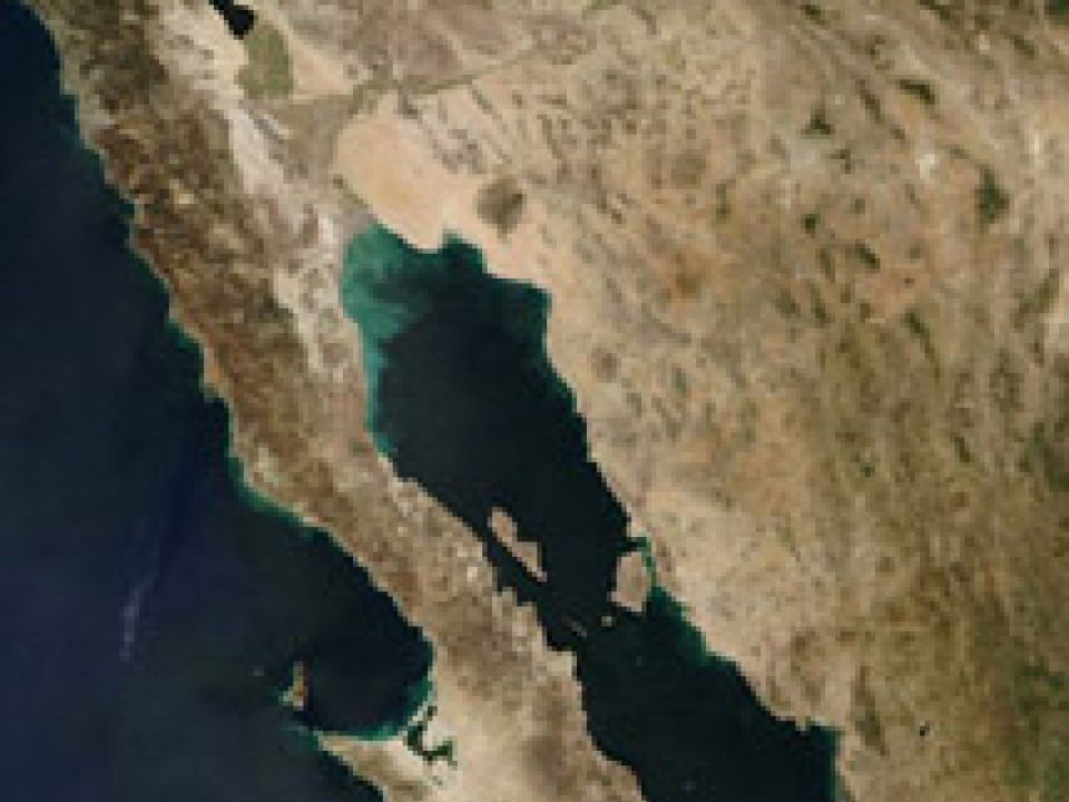 Mar de Cortes