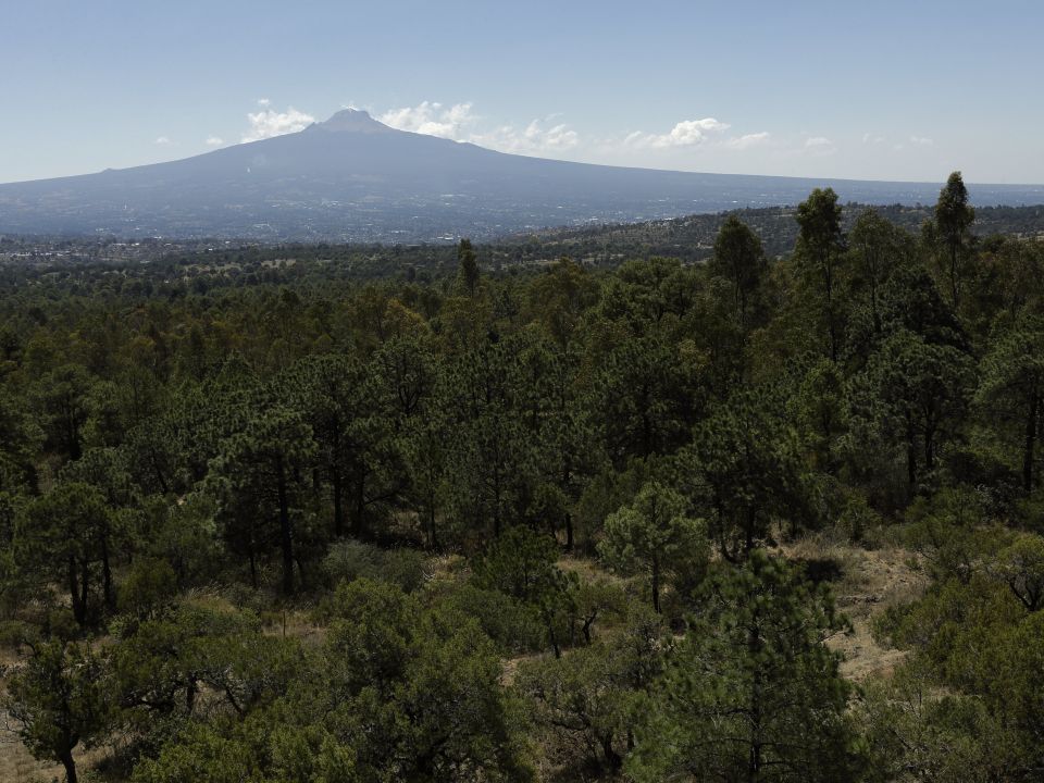 Reserva ecológica en Tlaxcala