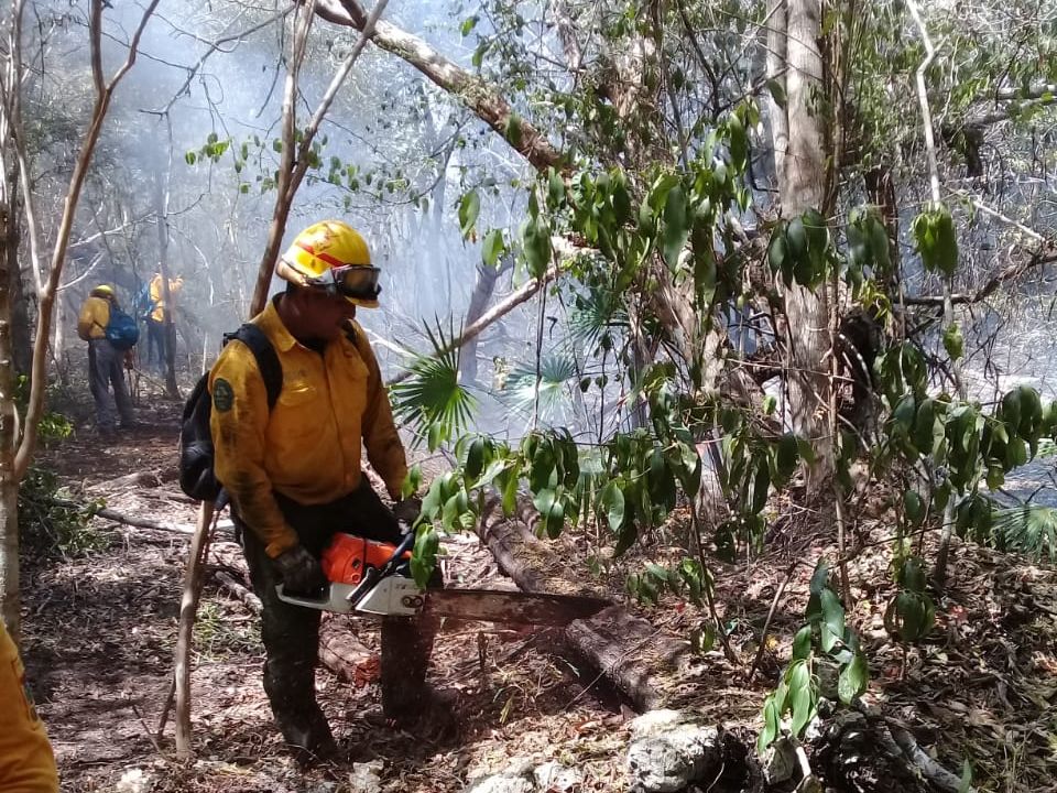 Combatiente de incendios