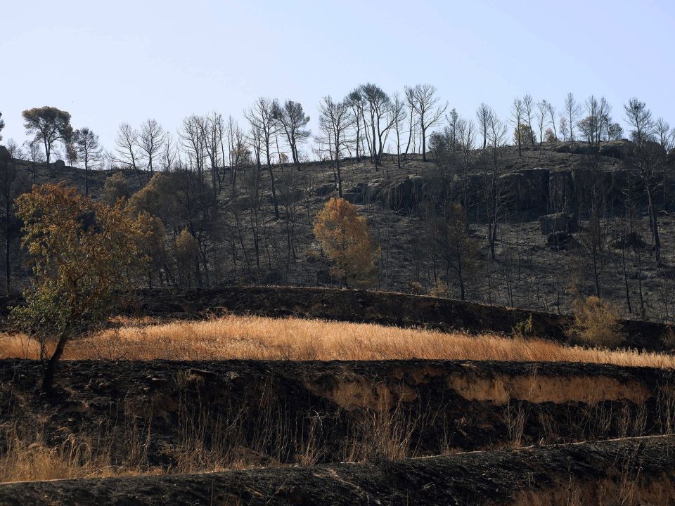 Actividad humana se vincula a intensa ola de calor en Europa