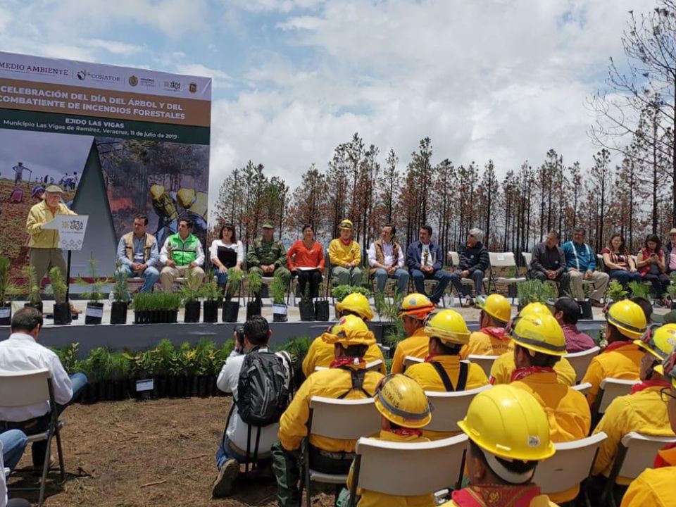 En Veracruz inicia la Campaña Nacional de Restauración Forestal