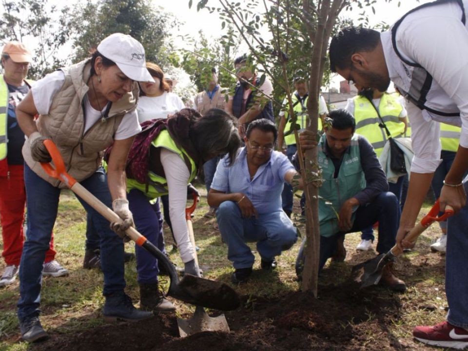 Sedema Reto Verde
