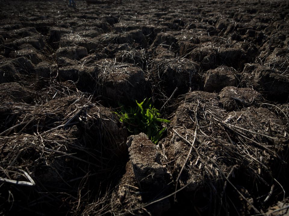 Tierra seca