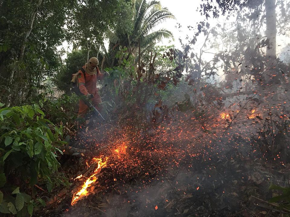 Combatientes del fuego en Amazonia