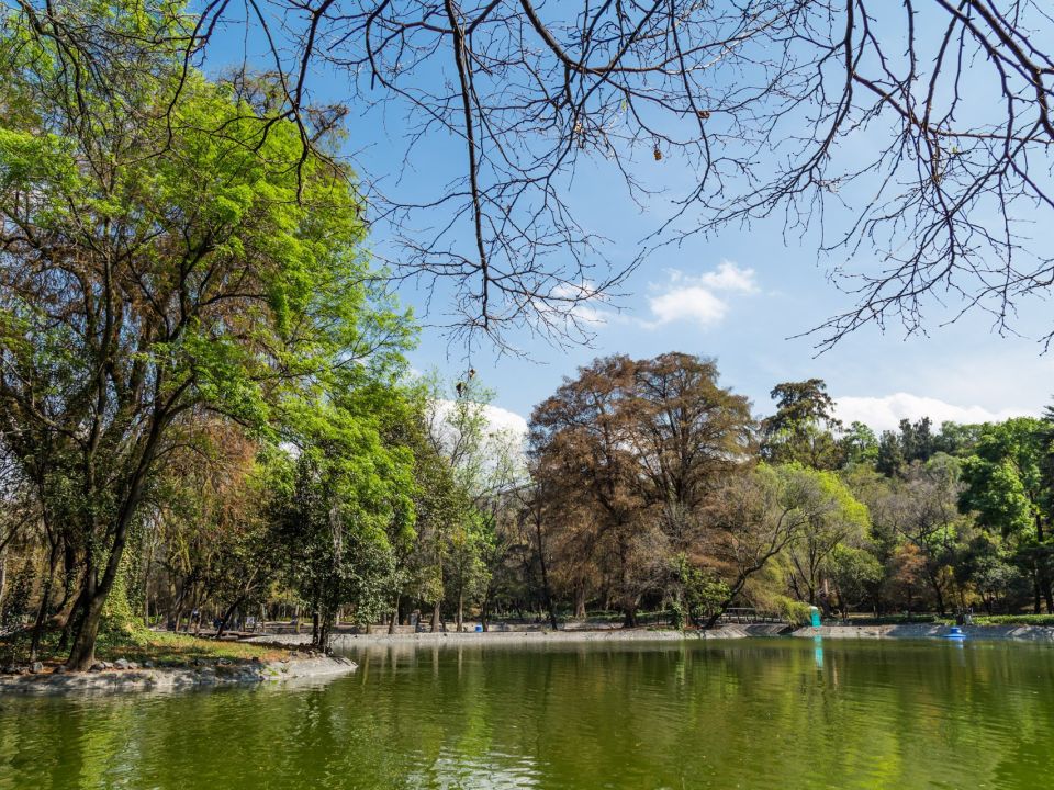 Bosque de Chapultepec